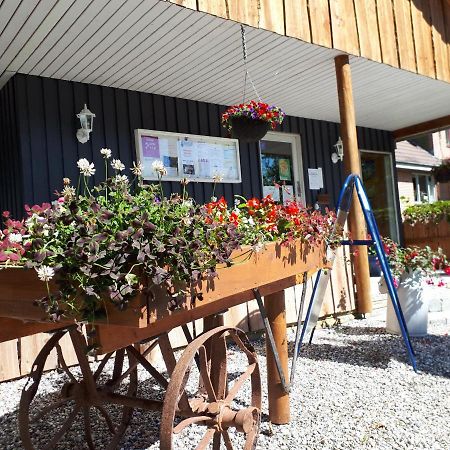 Bollingso Camping Engesvang Екстериор снимка